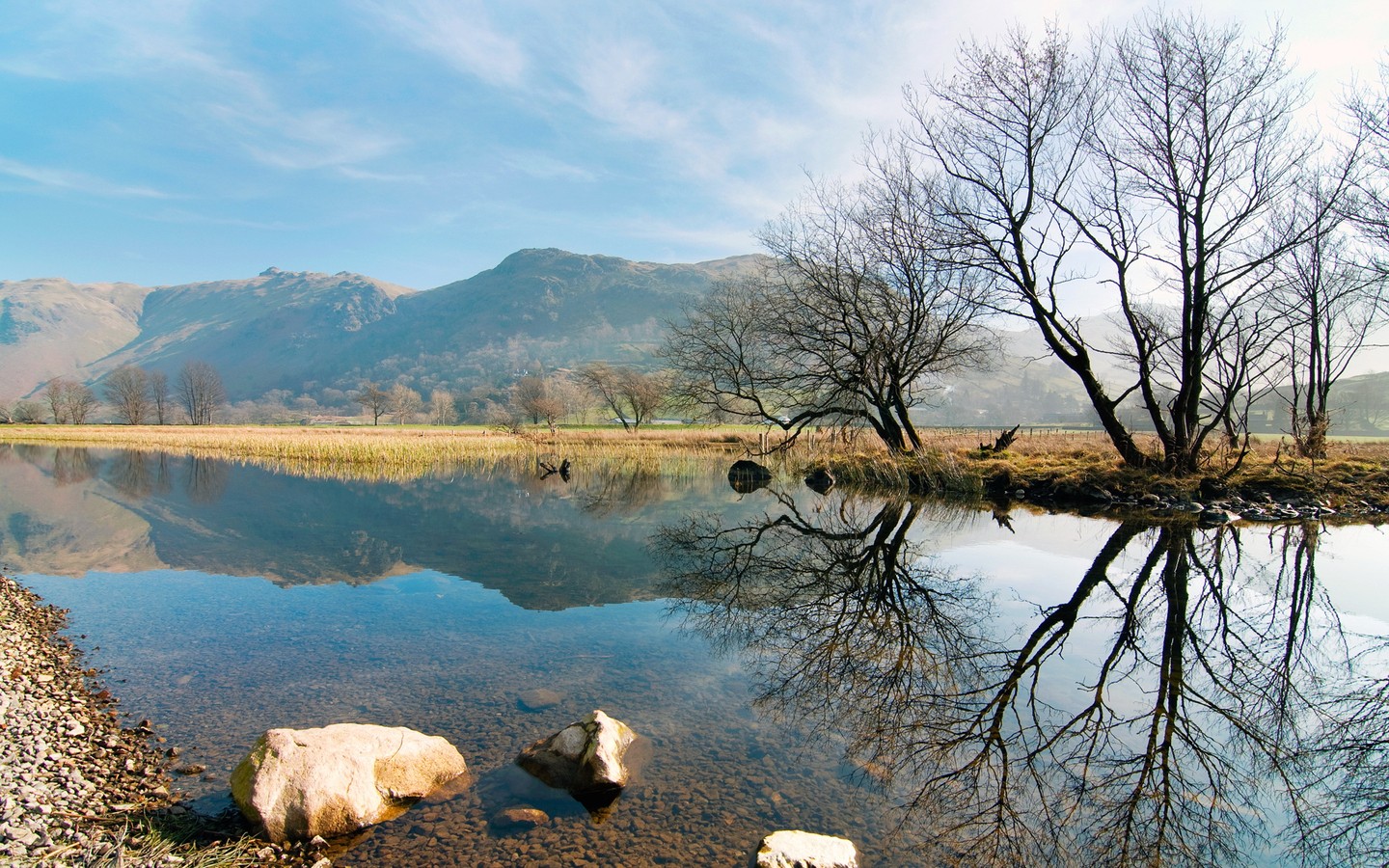 ����MOD17A3�Ĺ�����ֲ��NPPʱ��